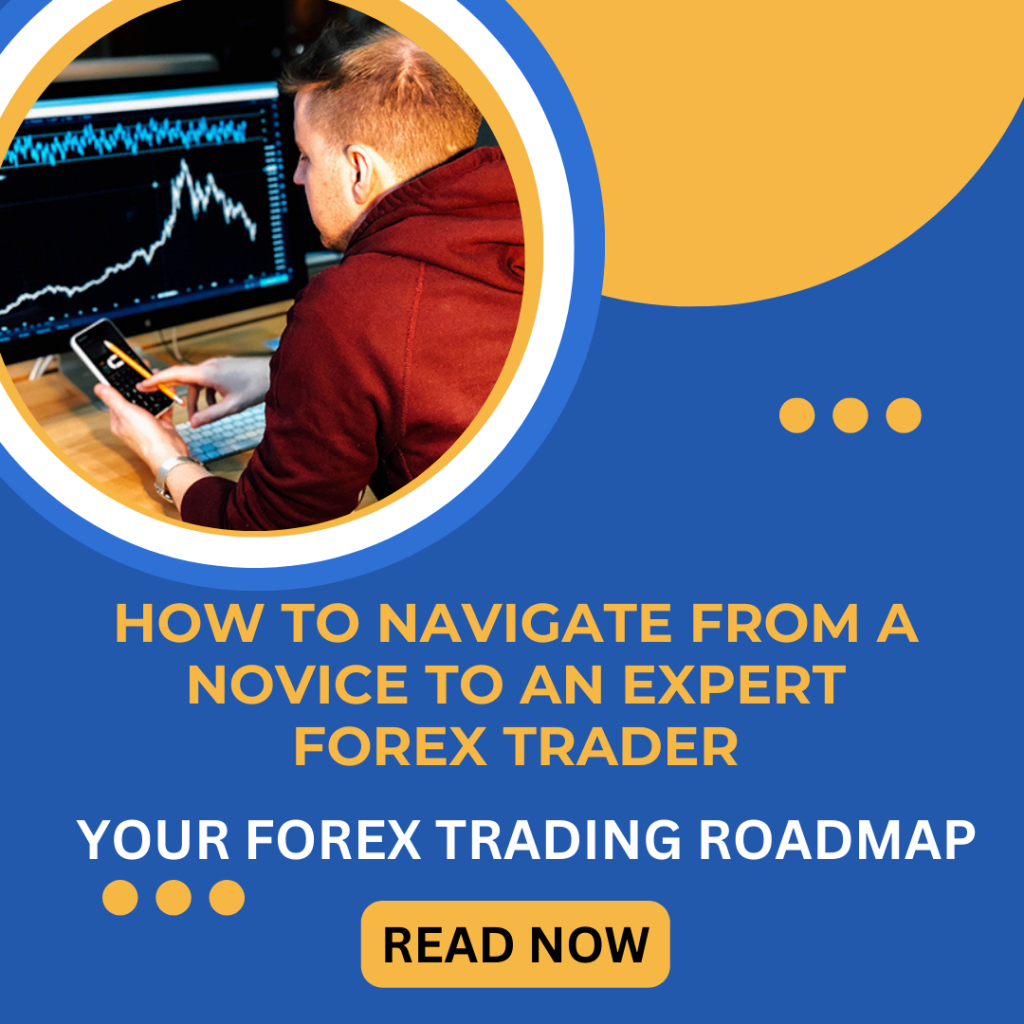 Navigate from a novice to expert forex trader guide